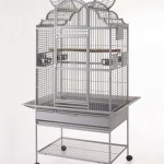 Ideal Size of Cage for African Grey Parrot