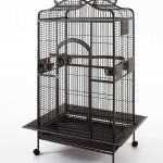 Best Cages for African Grey Parrots