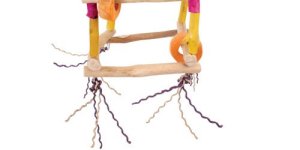 Java Wood hanging Toy for African Grey Parrot