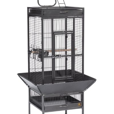 Prevue Hendryx-Small Wrought Iron Select Bird Cage