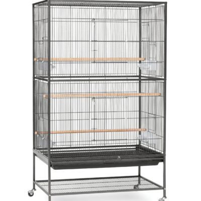 Prevue Pet Products Wrought Iron Flight Cage with Stand F040 Black Bird Cage, 31-Inch by 20-1/2-Inch by 53-Inch