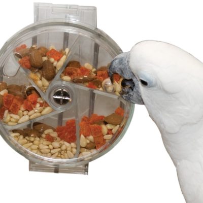 Creative Foraging Systems Foraging Wheel, 6-Inch Diameter for African Grey Parrots